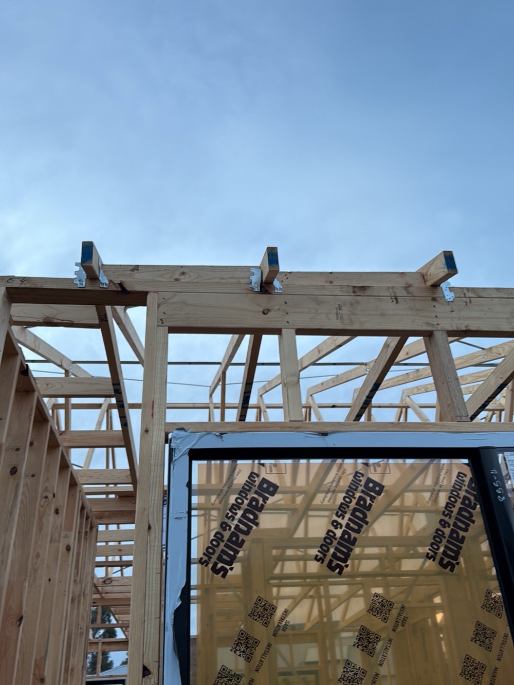 Recorded on a Donnybrook inspection, Donnybrook